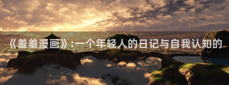 韩漫漫画PPT网站大片：《羞羞漫画》:一个年轻人的日记与自我认知的